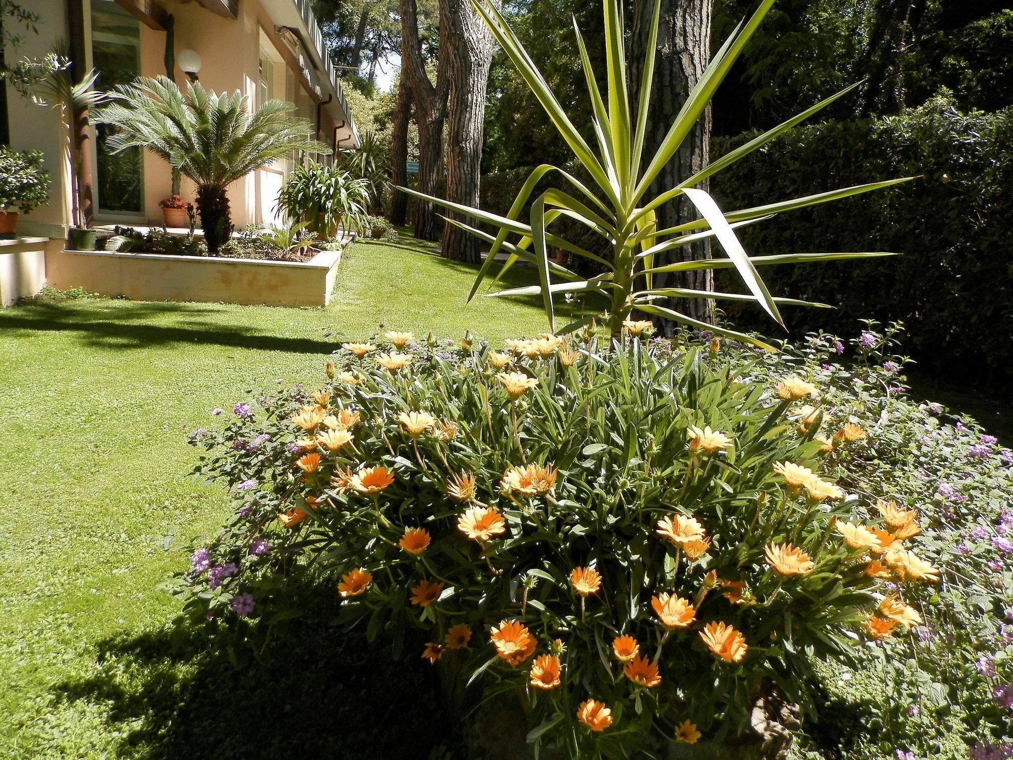 Hotel Mediterraneo Marina di Pietrasanta Εξωτερικό φωτογραφία